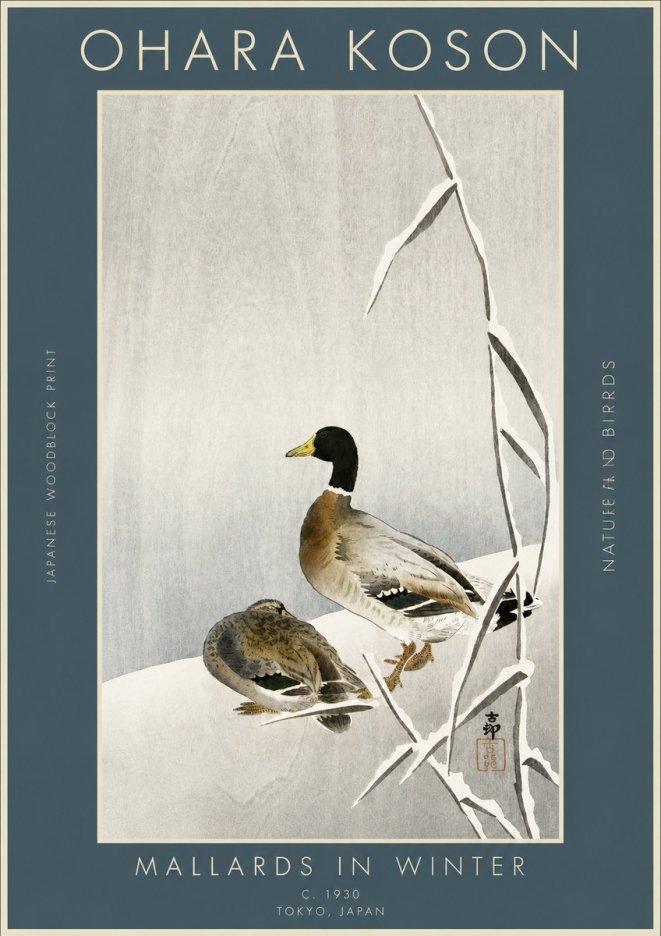 Ohara Koson Mallards in Winter No3 - Plakat