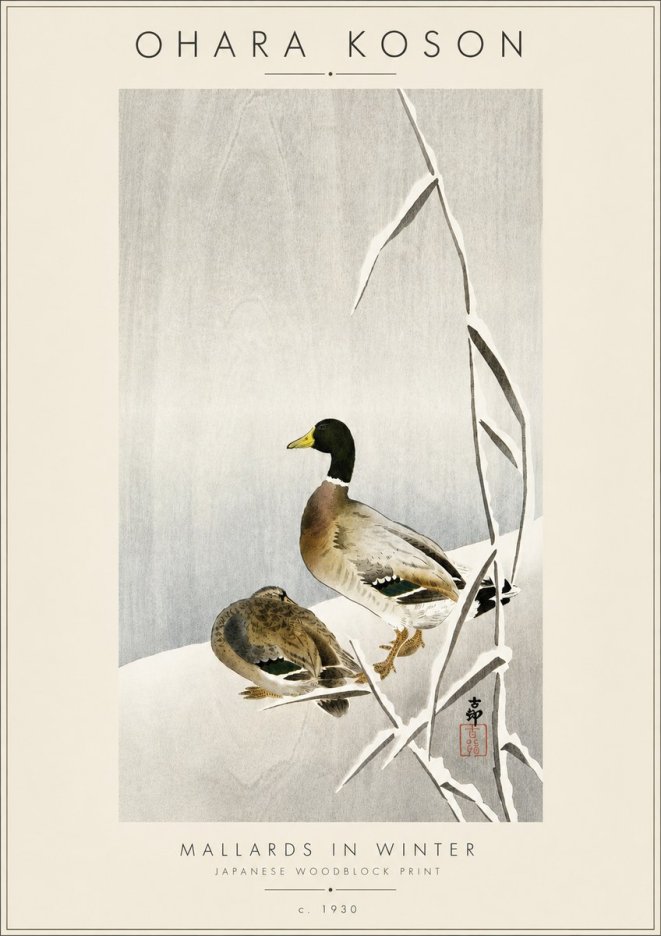 Ohara Koson Mallards in Winter No4 - Plakat