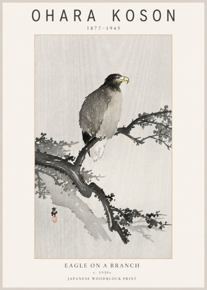 Ohara Koson Eagle on a Branch I No2 - Plakat