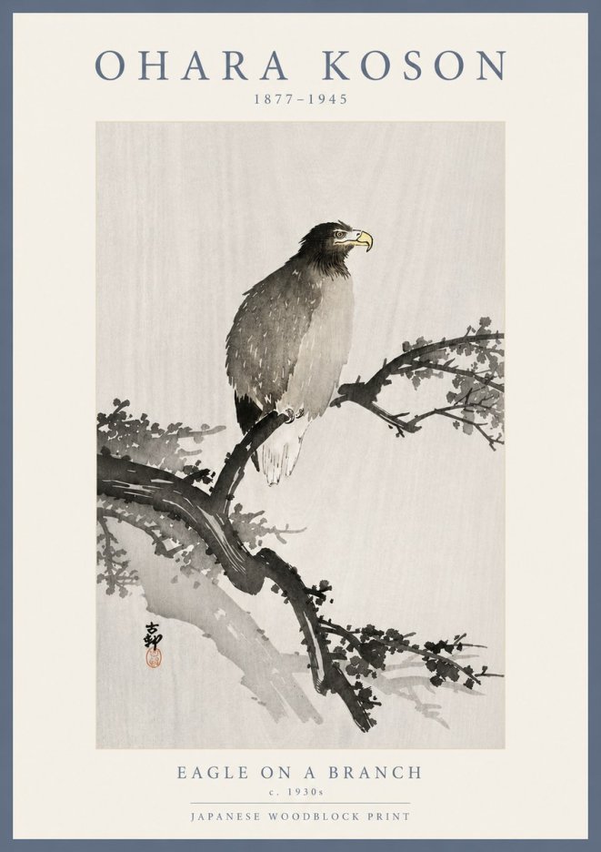 Ohara Koson Eagle on a Branch I No5 - Plakat