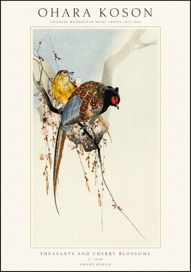 Ohara Koson Pheasants and Cherry Blossoms I No1 - Plakat
