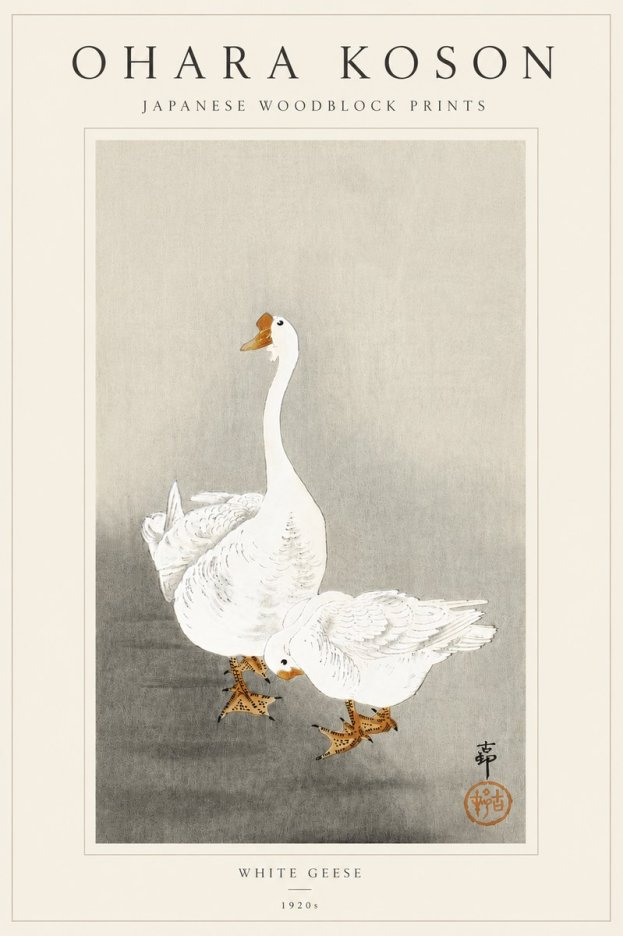 Ohara Koson White Geese No5 - Plakat