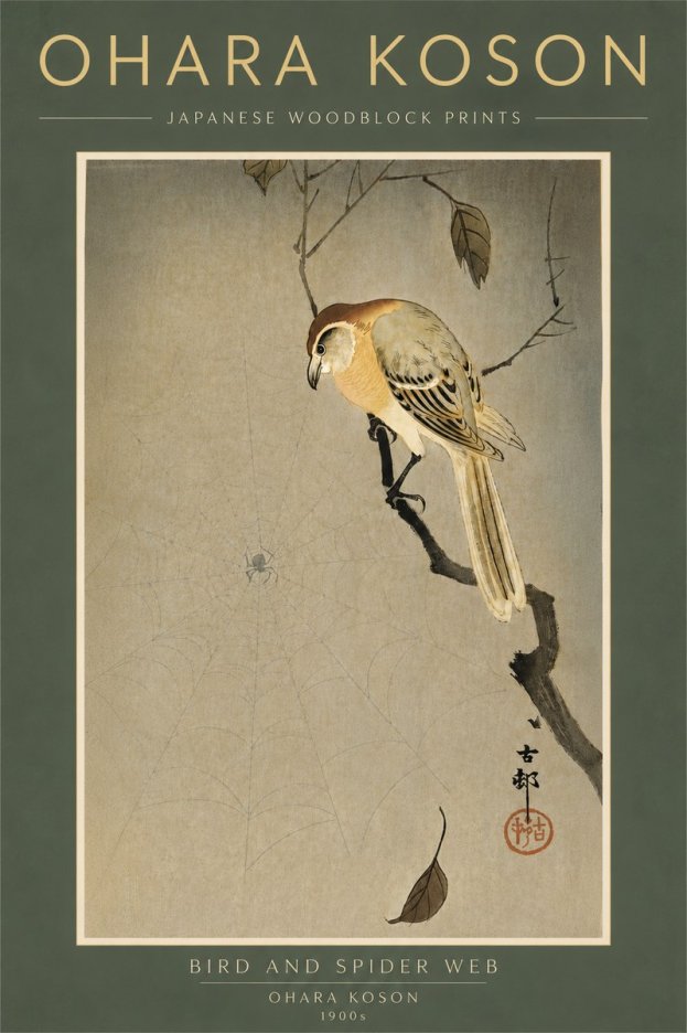 Ohara Koson Bird and Spider Web I No6 - Plakat