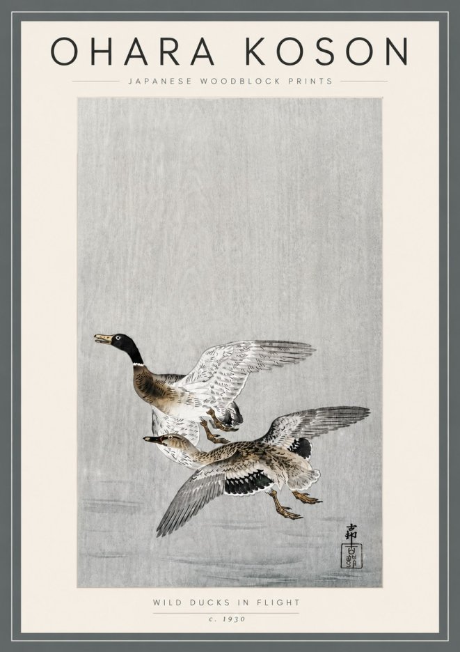 Ohara Koson Wild Ducks in Flight No5 - Plakat