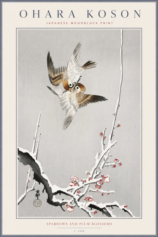 Ohara Koson Sparrows and Plum Blossoms No6 - Plakat