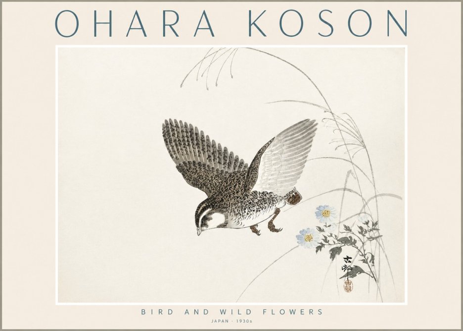 Ohara Koson Bird and Wild Flowers No2 - Plakat