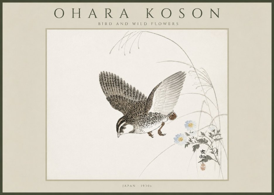 Ohara Koson Bird and Wild Flowers No4 - Plakat