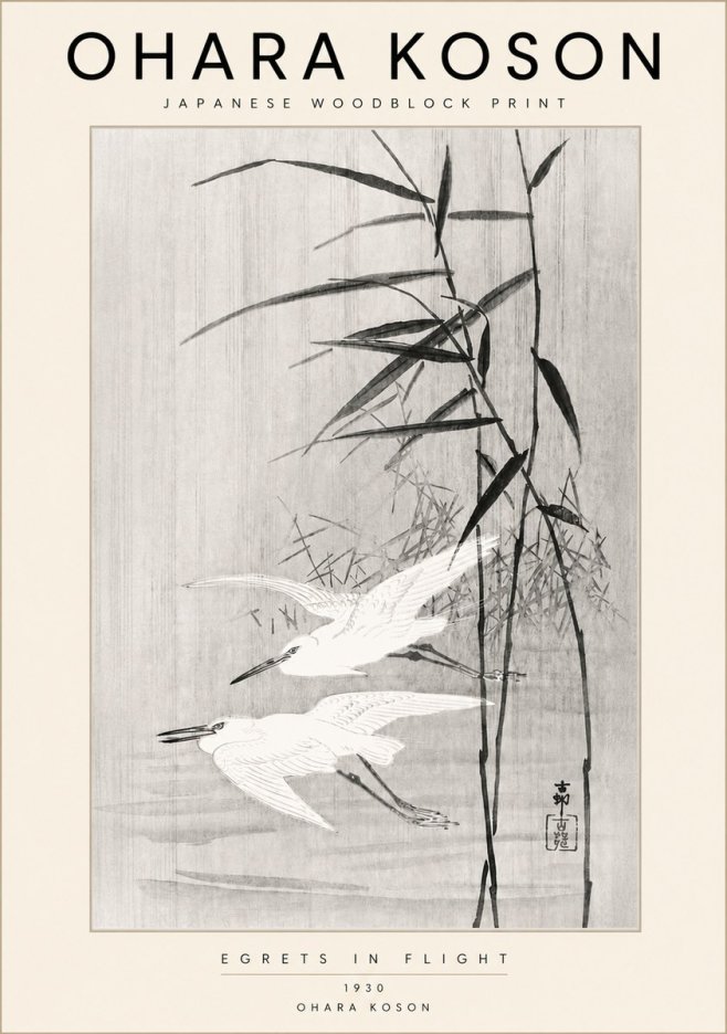 Ohara Koson Two Herons and Reeds No6 - Plakat