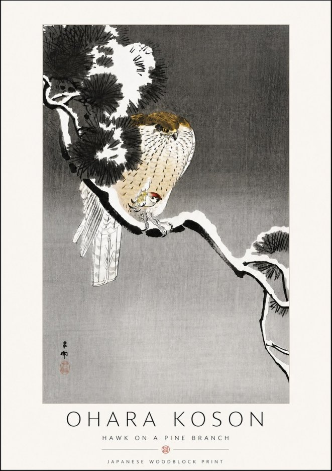 Ohara Koson Hawk on a Pine Branch No6 - Plakat