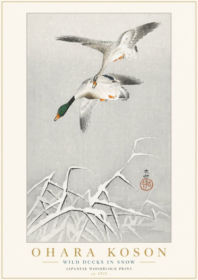 Ohara Koson Wild Ducks in Snow No3 - Plakat