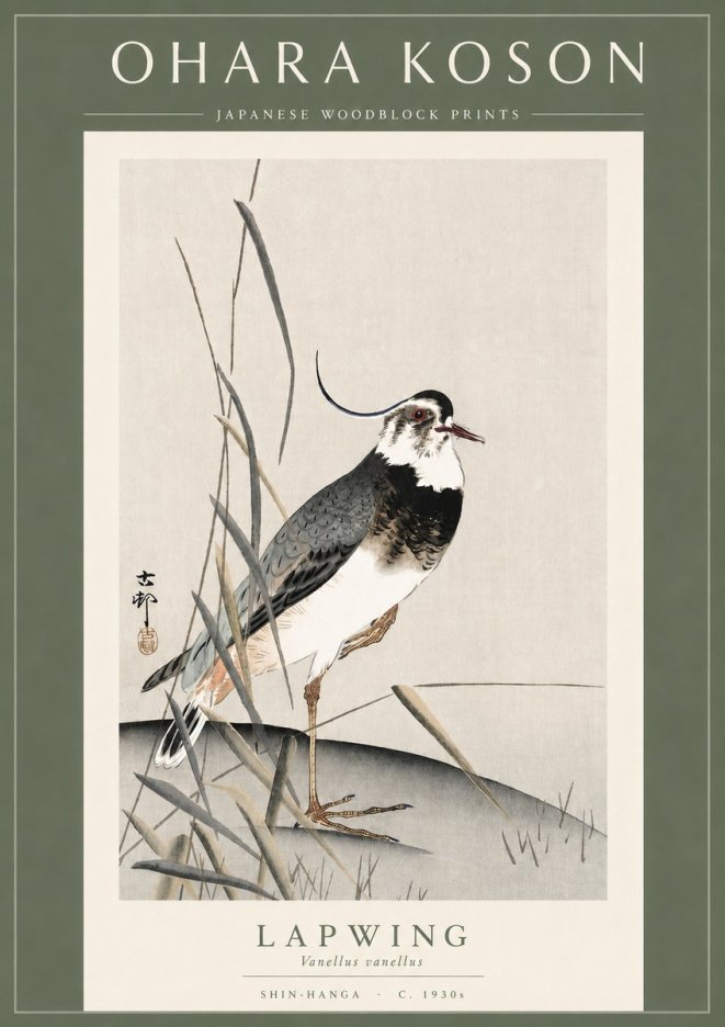 Ohara Koson Lapwing No3 - Plakat