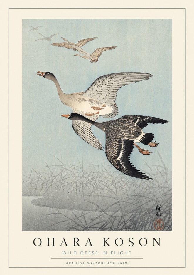 Ohara Koson Wild Geese in Flight II No3 - Plakat