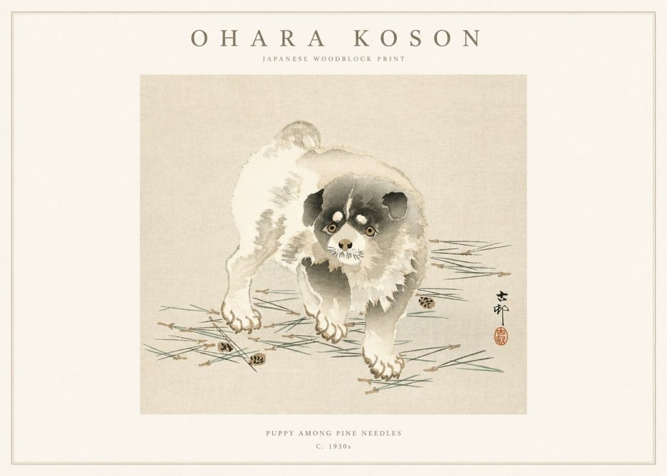 Ohara Koson Puppy Among Pine Needles No1 - Plakat