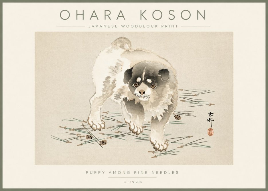 Ohara Koson Puppy Among Pine Needles No3 - Plakat
