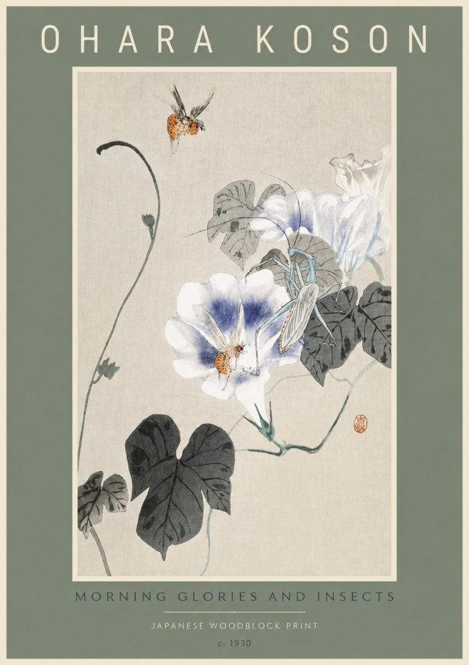 Ohara Koson Morning Glories and Insects No2 - Plakat