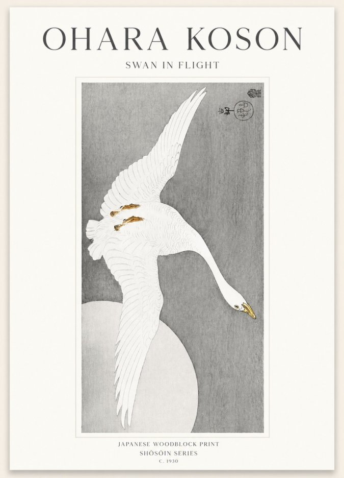 Ohara Koson Swan in Flight No1 - Plakat