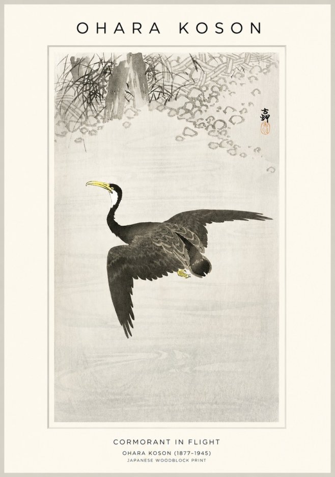 Ohara Koson Cormorant in Flight No1 - Plakat