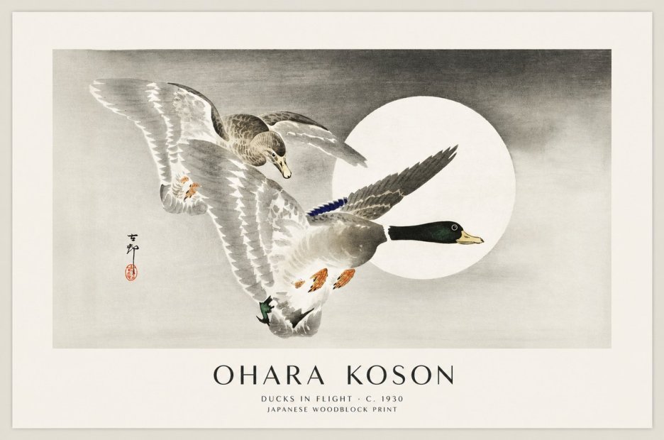 Ohara Koson Ducks in Flight No1 - Plakat