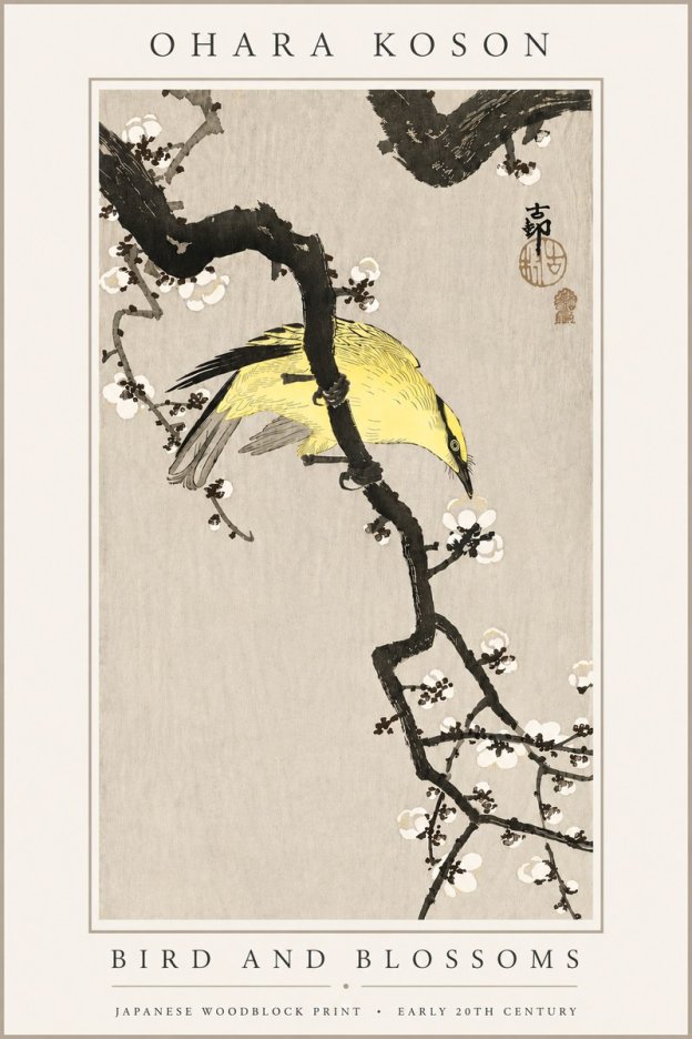 Ohara Koson Bird and Blossoms No6 - Plakat