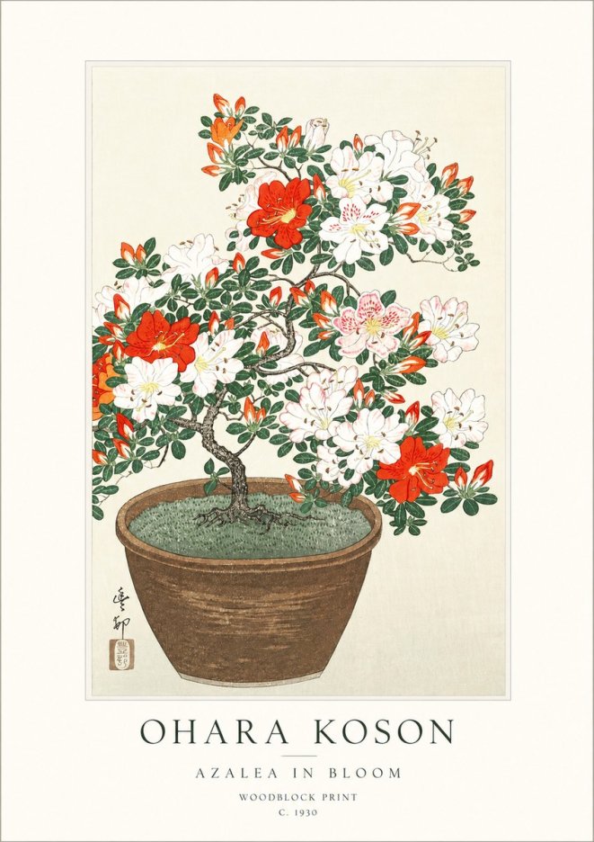 Ohara Koson Azalea in Bloom No1 - Plakat