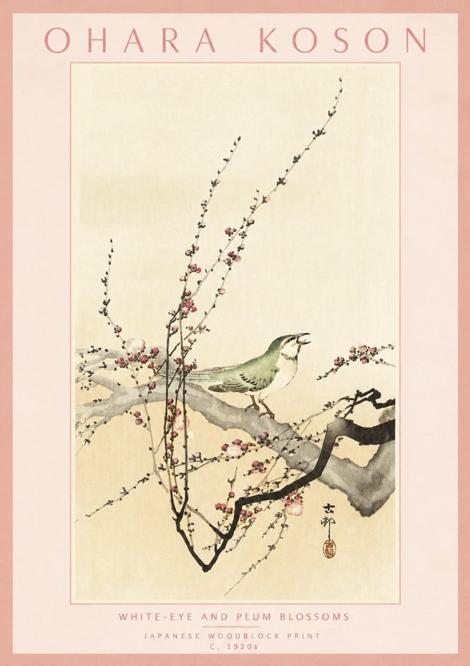 Ohara Koson White-eye and Plum Blossoms No3 - Plakat