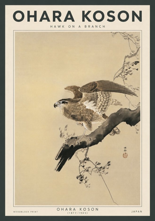 Ohara Koson Hawk on a Branch I No3 - Plakat