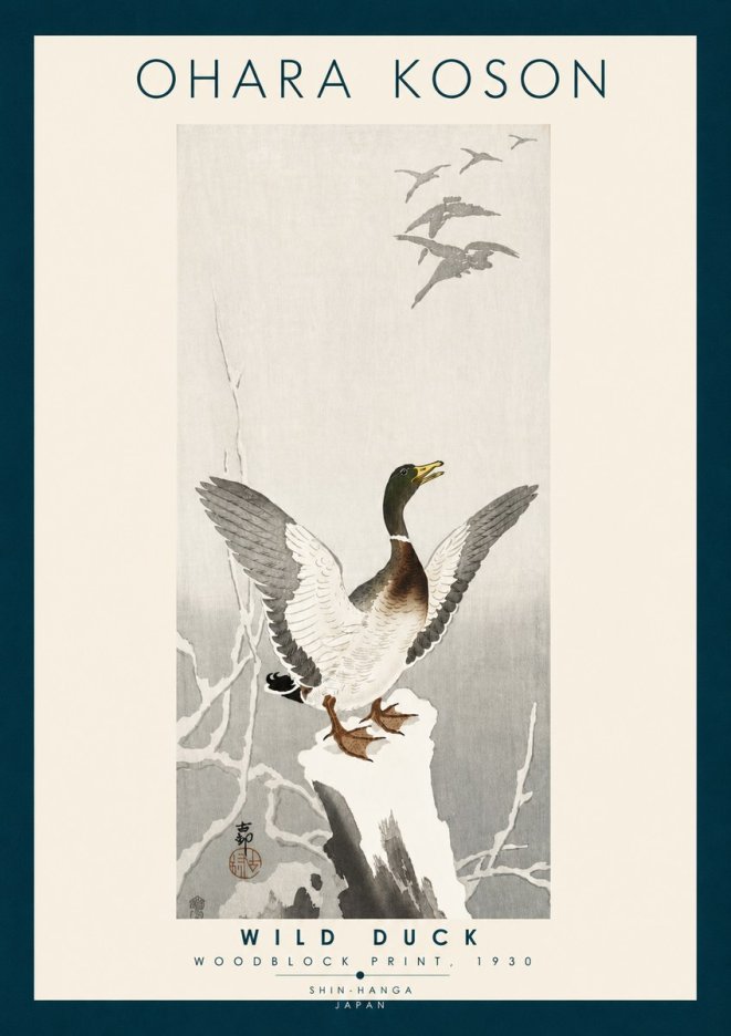 Ohara Koson Wild Duck No6 - Plakat