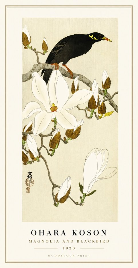 Ohara Koson Magnolia and Blackbird No1 - Plakat