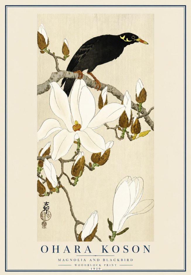 Ohara Koson Magnolia and Blackbird No3 - Plakat