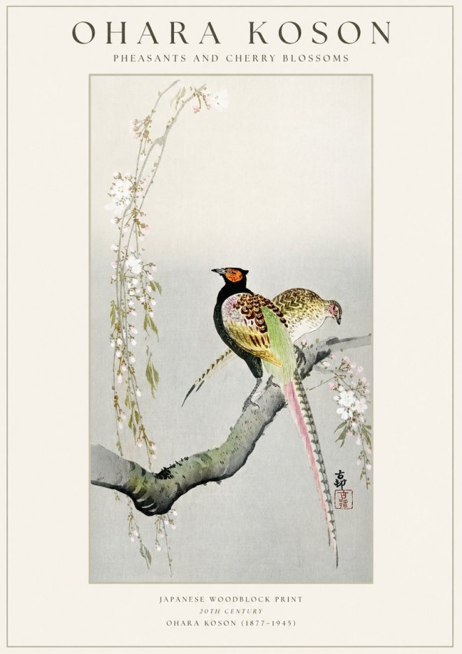 Ohara Koson Pheasants and Cherry Blossoms II No1 - Plakat