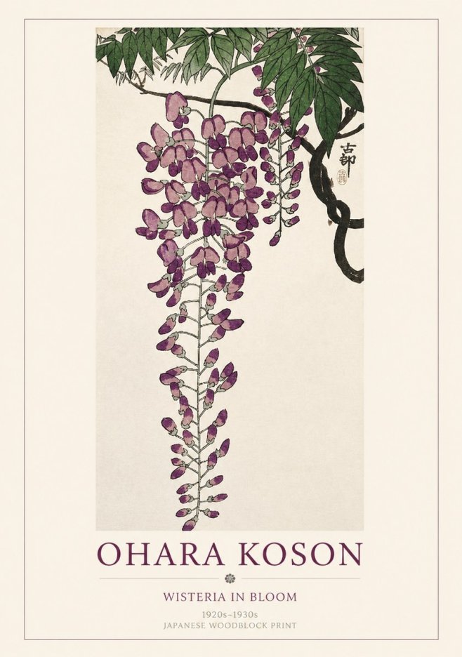 Ohara Koson Wisteria in Bloom No1 - Plakat