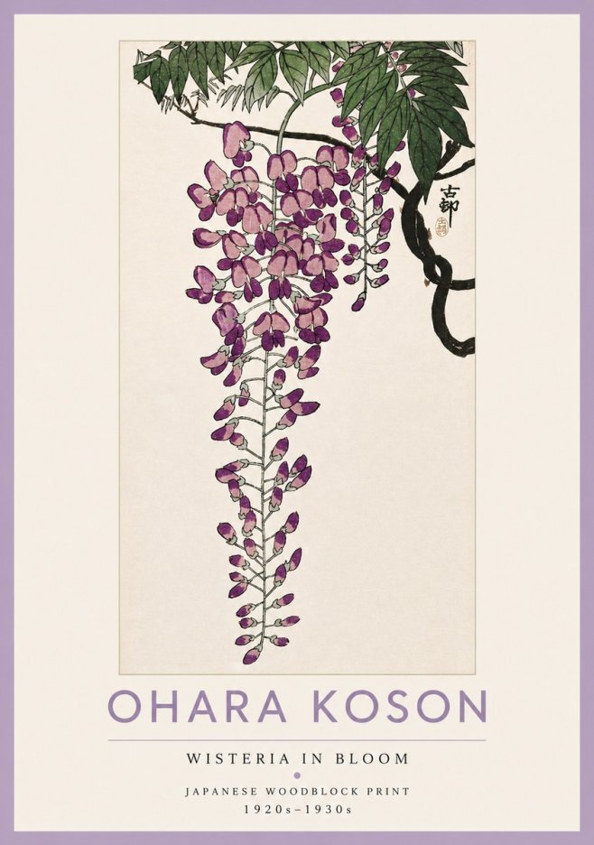 Ohara Koson Wisteria in Bloom No4 - Plakat