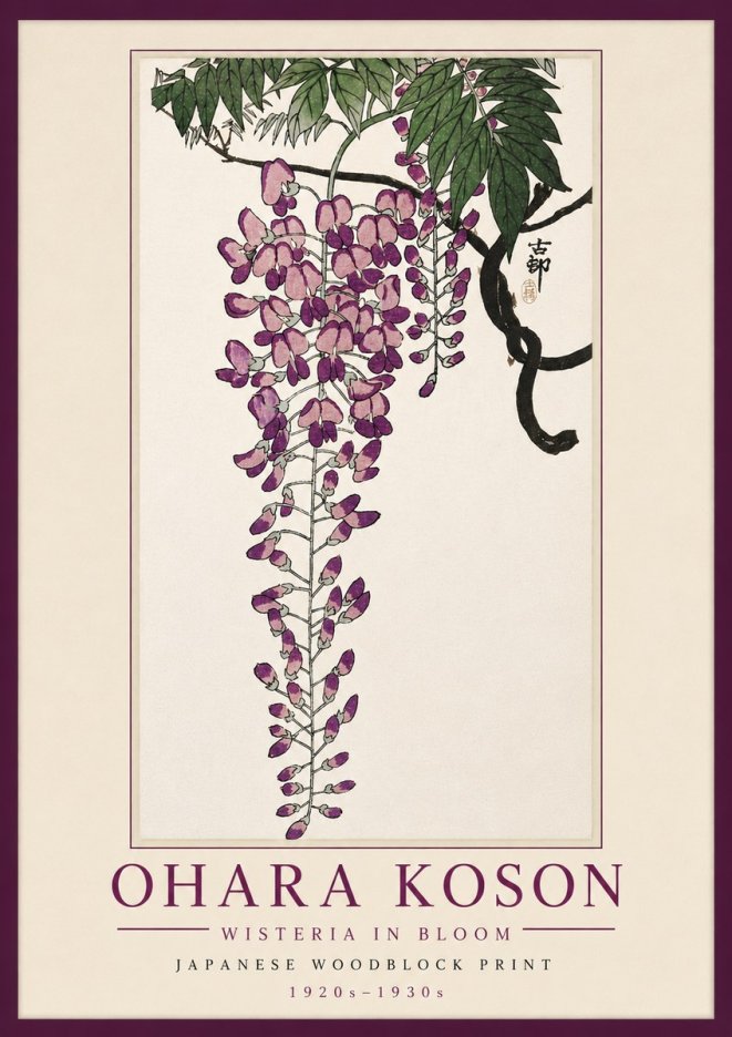 Ohara Koson Wisteria in Bloom No5 - Plakat