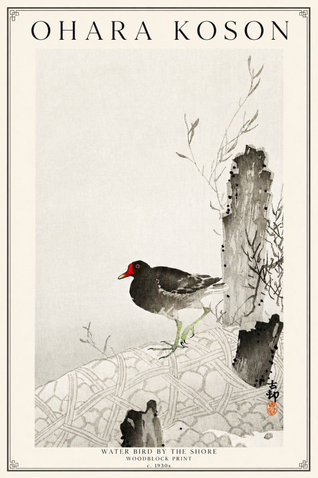 Ohara Koson Water Bird by the Shore No3 - Plakat