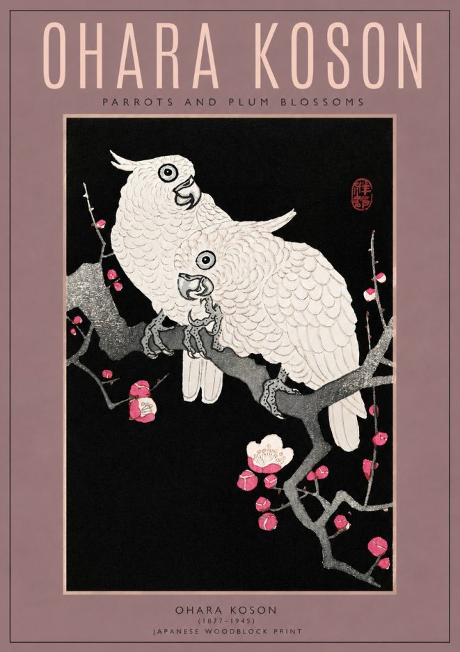 Ohara Koson Parrots and Plum Blossoms No3 - Plakat