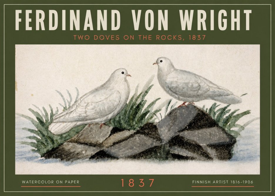 Ferdinand von Wright Two Doves on the Rocks, 1837 No2 - Plakat