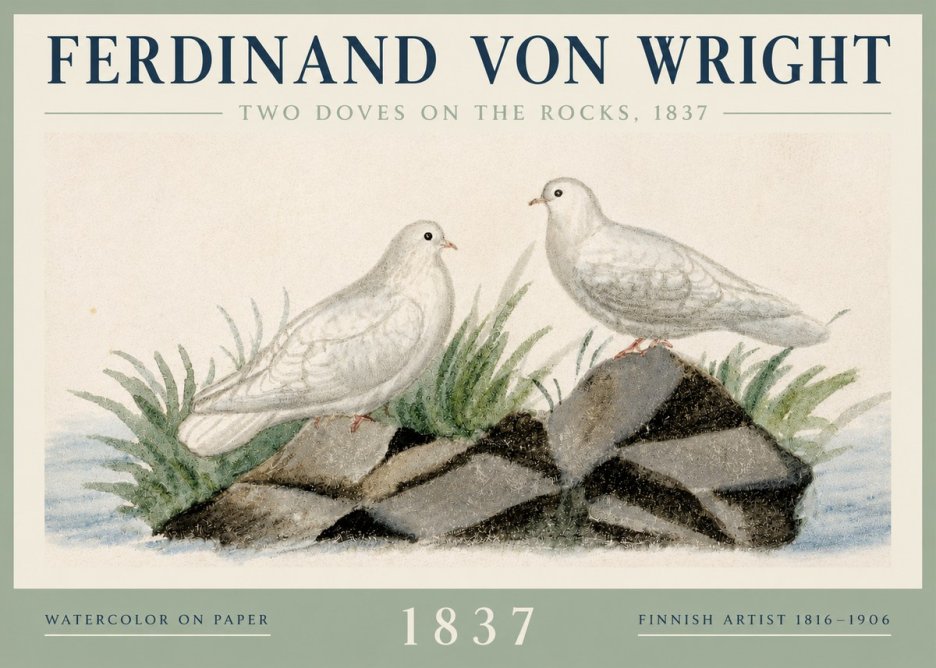 Ferdinand von Wright Two Doves on the Rocks, 1837 No3 - Plakat