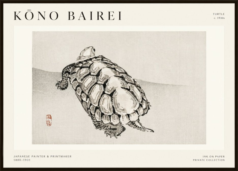 Kōno Bairei Turtle No1 - Plakat