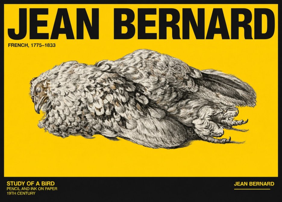 Jean Bernard Study of a Bird I No6 - Plakat