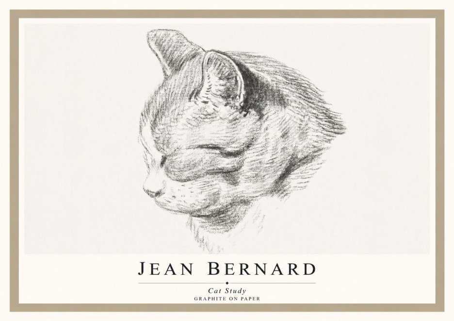 Jean Bernard Cat Study I No1 - Plakat