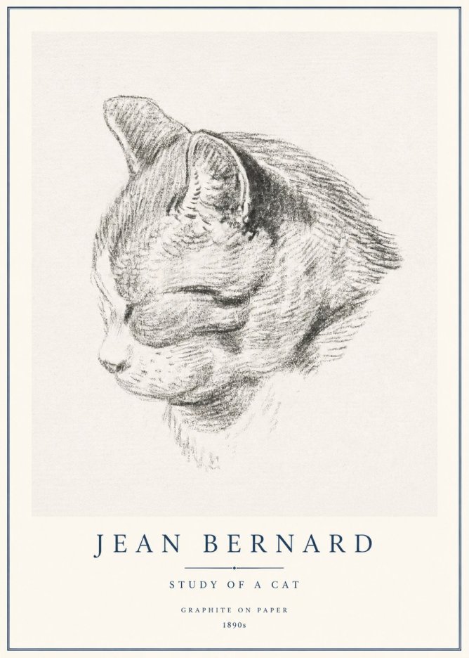 Jean Bernard Cat Study I No3 - Plakat