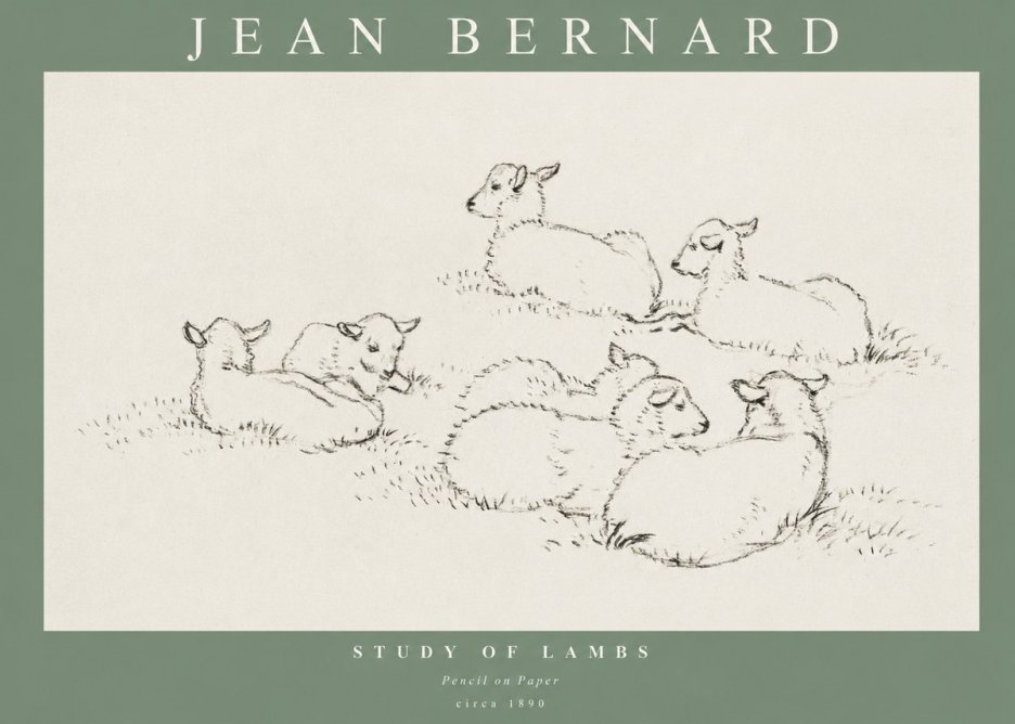 Jean Bernard Study of Lambs No1 - Plakat