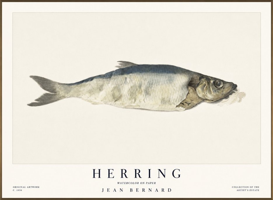 Jean Bernard Herring No1 - Plakat