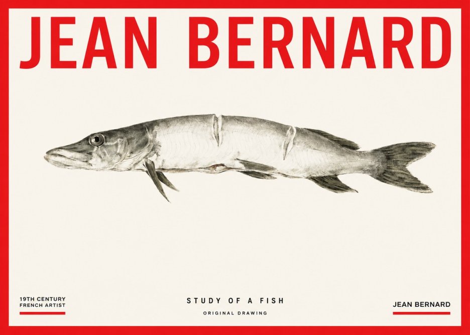 Jean Bernard Study of a Fish II No3 - Plakat