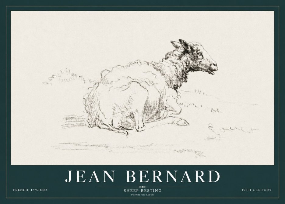 Jean Bernard Sheep Resting No3 - Plakat