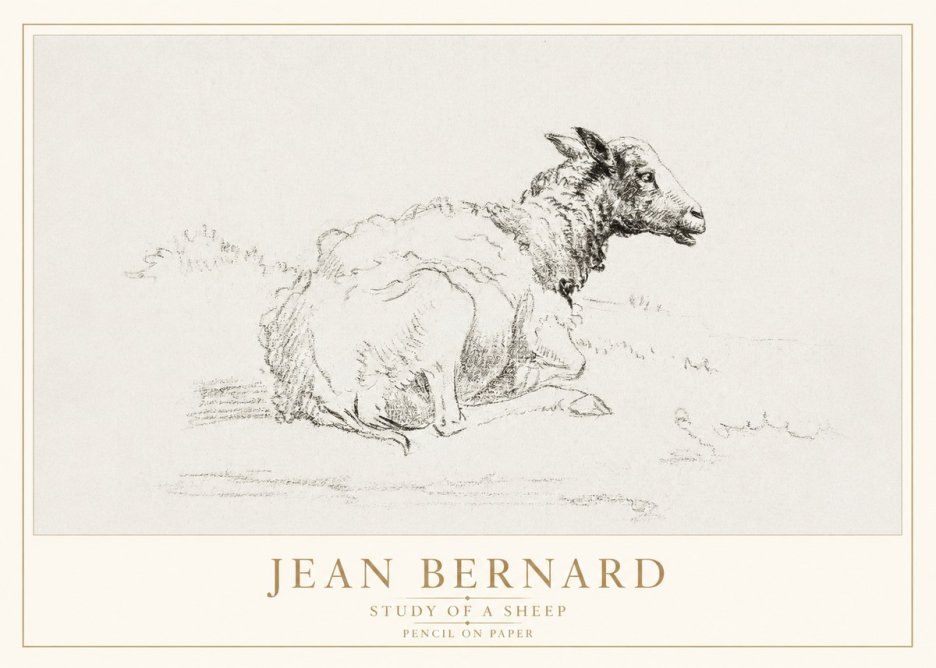 Jean Bernard Sheep Resting No4 - Plakat