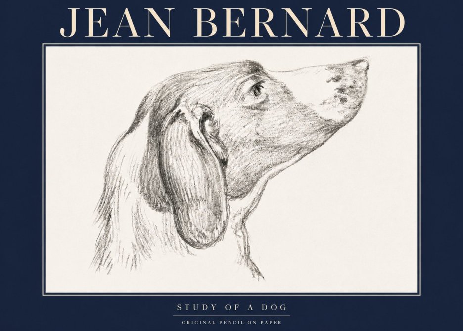 Jean Bernard Study of a Dog I No4 - Plakat