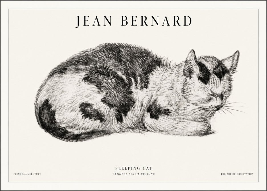Jean Bernard Sleeping Cat I No5 - Plakat