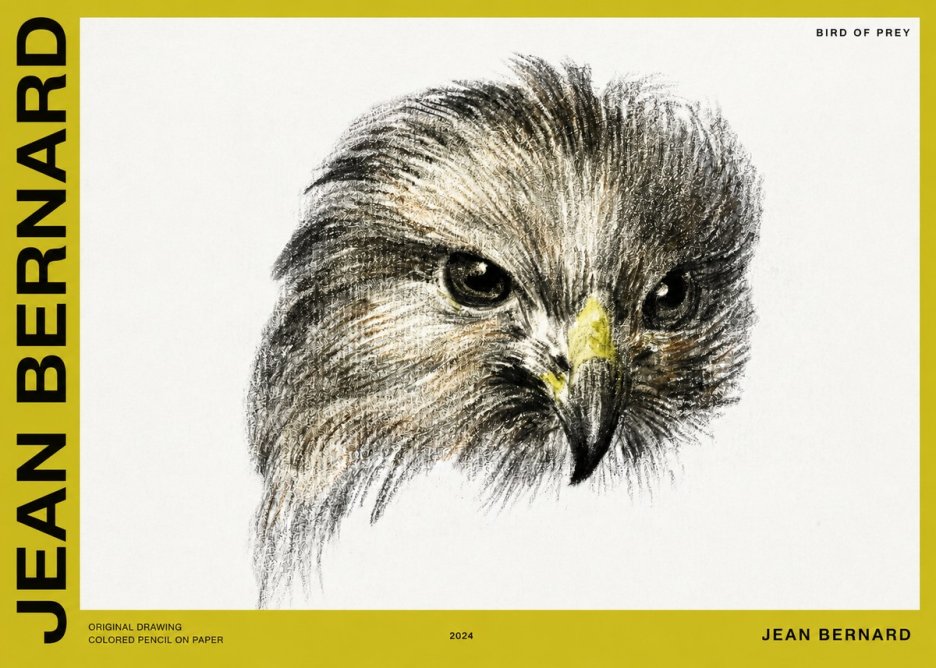 Jean Bernard Bird of Prey No2 - Plakat