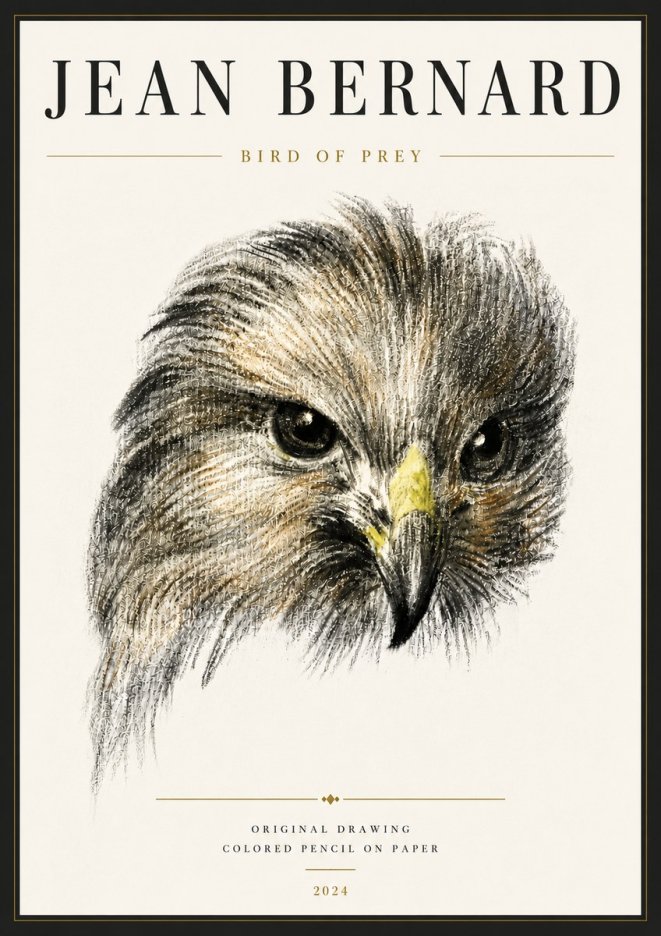 Jean Bernard Bird of Prey No6 - Plakat